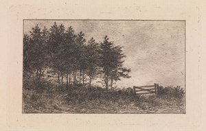 Augustaften