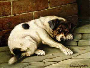 Lovable Companion (panelde yağ)