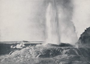 Gayzer, Yeni Zelanda, 1924 by Valentine and Sons Ltd