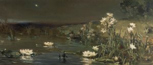 Gece Yıldızı