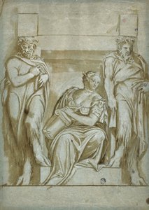 Metanet by Veronese