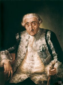 Cayetano de Urbina y Ortiz de Zarate'nin portresi, c. 1801 (tuval üzerine yağlı boya)