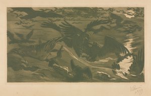 Yırtıcı Kuşlar, 1893.