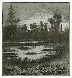 Les Chants du Crépuscule, 19. Yüzyıl (bw gravürü) by Victor Hugo