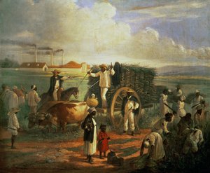 Kana Değirmeni by Victor Patricio Landaluce