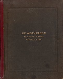 Amerikan Doğa Tarihi Müzesi