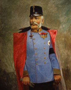 Arşidük Friedrich, Teschen Dükü, 1916 dolayları (tuval üzerine yağlı boya) by Vienna Nedomansky Studio