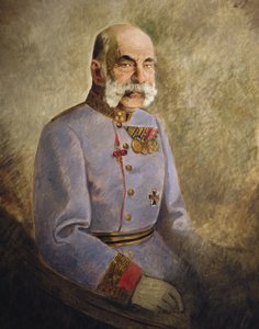 Avusturya Franz Joseph I, 1916 dolayları (tuval üzerine yağlıboya) by Vienna Nedomansky Studio