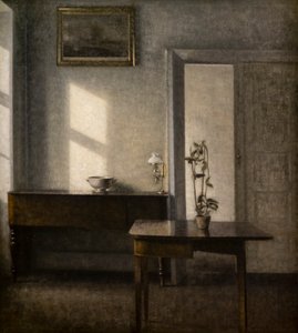 Bir çiçek liman ile iç, Bredgade 25 by Vilhelm Hammershoi