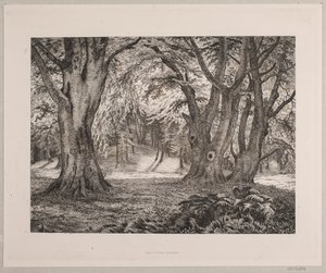 Bir ormanın içi by Vilhelm Kyhn