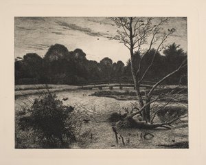 Bir ormanda gün batımı by Vilhelm Kyhn