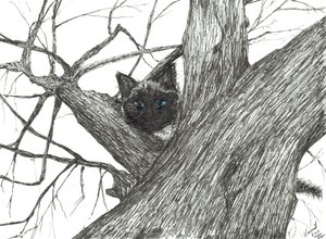 Elma ağacı Bebek, 2015, (kağıt üzerine mürekkep) by Vincent Alexander Booth