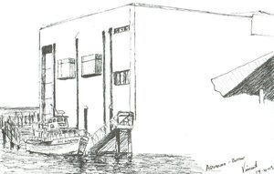 Akvaryum Boston Kitlesi, 2003 by Vincent Alexander Booth