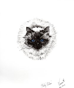 Bebek top, 2015, (kağıt üzerine mürekkep) by Vincent Alexander Booth