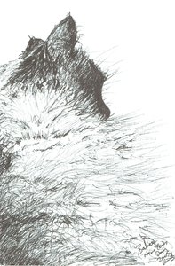 Bebek sıcak tutar Yeni Yıl, 2005 by Vincent Alexander Booth