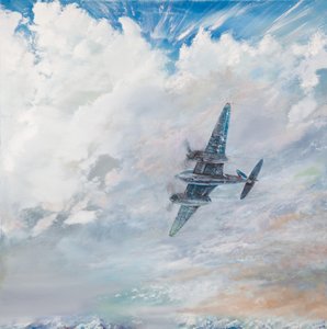 D.H.Sivrisinek, 2016, by Vincent Alexander Booth