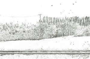 platform 3