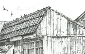 Güvercin çatı katı, 2003 by Vincent Alexander Booth