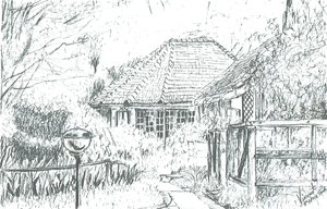 Oteldeki odalar, Naivasha Gölü, 2006 by Vincent Alexander Booth