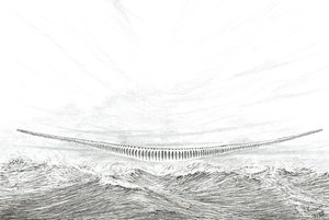 Fırtına Yaratıcıları Cape Leveque, 2023 by Vincent Alexander Booth