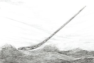 Fırtına Yaratıcıları Mweru Gölü, 2023 by Vincent Alexander Booth