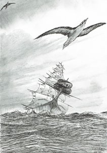 Storm Creators Mindanao Denizi, 2020 by Vincent Alexander Booth