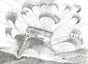 Fırtına Yaratıcıları Wakasa Wan, 2022 by Vincent Alexander Booth