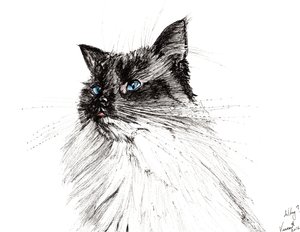 Niye ya? 2016, (kağıt üzerine mürekkep) by Vincent Alexander Booth