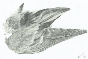 Kanat by Vincent Alexander Booth