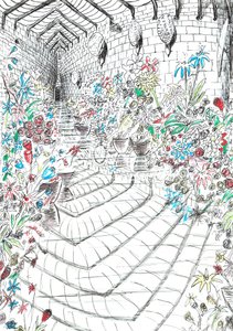 sayfa 37, Findhorn Ormanındaki Kale, 2006, (kağıt üzerine mürekkep) by Vincent Alexander Booth