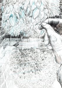 sayfa 43, Findhorn Ormanındaki Kale, 2006, (kağıt üzerine mürekkep) by Vincent Alexander Booth