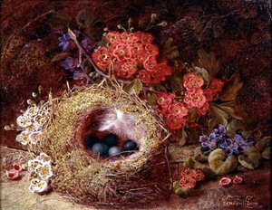 Bir kuş yuvası ve çiçeğinin natürmort by Vincent Clare