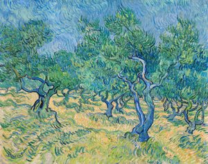 Zeytinlik, 1889. by Vincent van Gogh