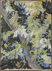 Acacia en fleur - Acacia Flowering, Gogh, Vincent, van (1853-1890). Tuval üzerine yağlıboya. Boyut : 33x24 cm. Ulusal Müze Stockholm by Vincent van Gogh