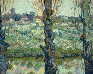 Arles