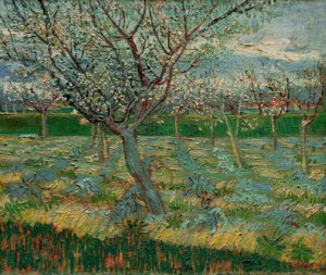 Kayısı ağaçları ile çiçek açan meyve bahçesi by Vincent van Gogh