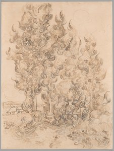 Selviler by Vincent van Gogh