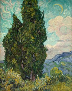 selvi by Vincent van Gogh