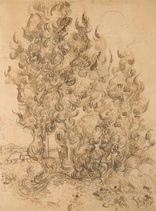 selvi by Vincent van Gogh