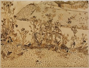 Yol kenarındaki devedikeni by Vincent van Gogh