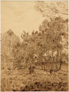 sanatoryum parkında by Vincent van Gogh