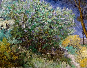 Leylak çalısı. Vincent VAN GOGH (1853-1890) by Vincent van Gogh