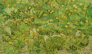 karahindiba by Vincent van Gogh