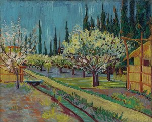Servi ağaçları ile çevrili meyve bahçesi. 1888 by Vincent van Gogh