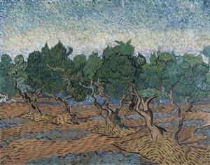 Zeytinlik by Vincent van Gogh