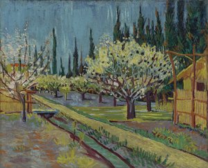 Selvilerle çevrili meyve bahçesi by Vincent van Gogh