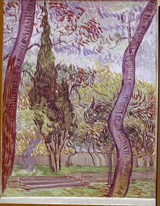 Saint-Remy-de-Provence'daki Saint-Paul Hastanesi Parkı by Vincent van Gogh