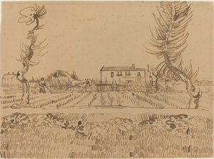 Arles yakınlarındaki Tarlalarda Pullukçu, 1888. by Vincent van Gogh