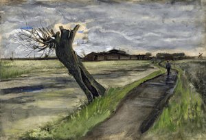 Pollard Willow (saule tetard) par Gogh, Vincent, van (1853-1890). Kurşun kalem, sulu boya, Guaj, kağıt üzerine mürekkep, boyut : 38x55,8 by Vincent van Gogh