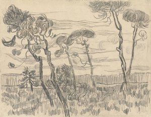 Muhafaza Duvarı Yakınındaki Altı Çam, 1899 by Vincent van Gogh